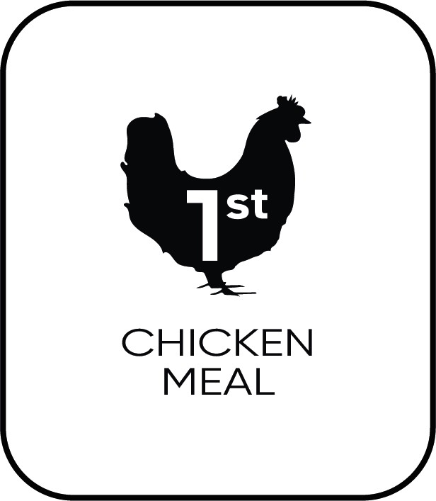 chicken