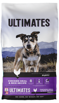 Puppy – Chicken Meal & Rice