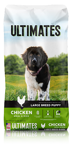 Large Breed Puppy – Chicken Meal & Rice