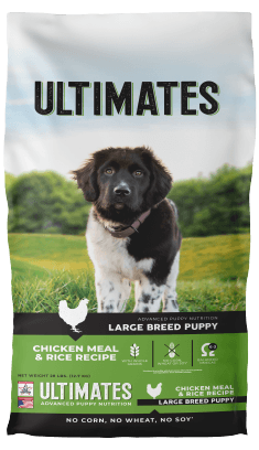 Large Breed Puppy – Chicken Meal & Rice